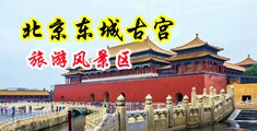 男人狂操女人比的真实视频中国北京-东城古宫旅游风景区